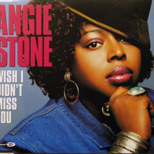 Angie Stone - Wish I Didn't Miss You-0
