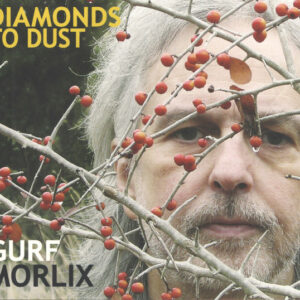 Gurf Morlix - Diamonds To Dust-0