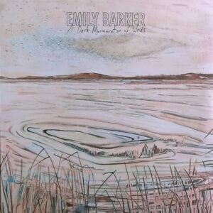 Emily Barker - A Dark Murmuration Of Words-0
