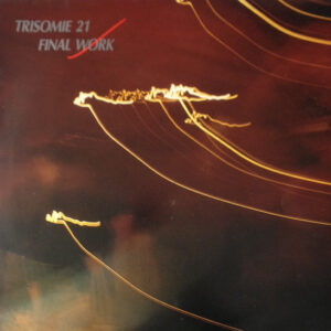 Trisomie 21 - Final Work-0