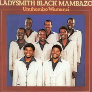 Ladysmith Black Mambazo - Umthombo Wamanzi-0