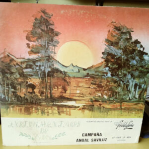 Various - Instrumentales De Oro, Musica de Venezuela (Campaña Anual Saviluz)-0