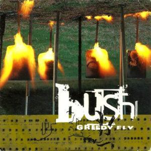 Bush - Greedy Fly-0