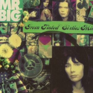 Mr. Big - Green Tinted Sixties Mind-0