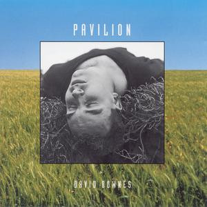 David Downes - Pavilion-0