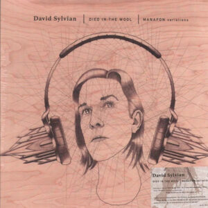 David Sylvian - Died In The Wool | Manafon Variations-0