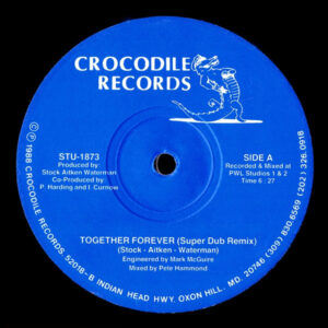 Rick Astley - Together Forever / Megamix-0
