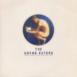 The Lotus Eaters - The First Picture Of You-0