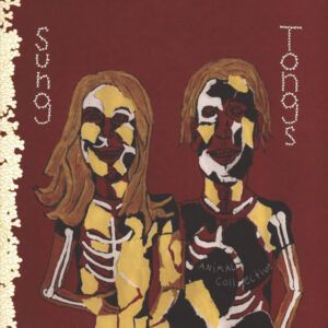 Animal Collective - Sung Tongs-0