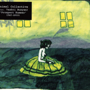 Animal Collective - Prospect Hummer-0