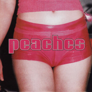 Peaches - The Teaches Of Peaches-0