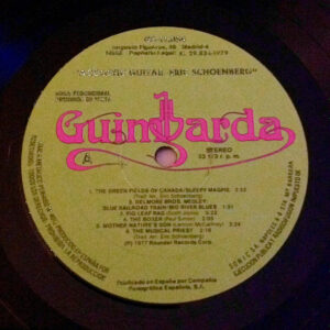Eric Schoenberg - Acoustic Guitar-0