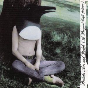 Penguin Cafe Orchestra - Preludes, Airs & Yodels (A Penguin Cafe Primer)-0