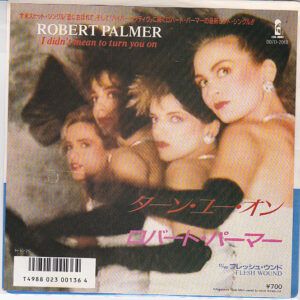 Robert Palmer - I Didn't Mean To Turn You On-0