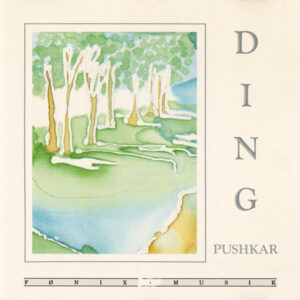 Pushkar - Ding-0