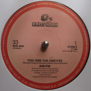 AM-FM - You Are The One-0
