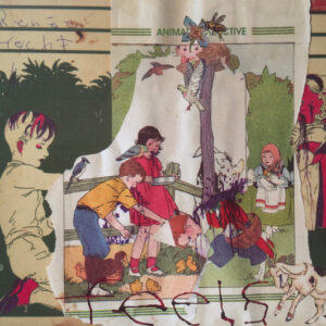 Animal Collective - Feels-0
