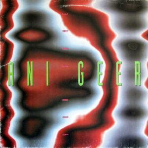 Anigeer - You Came-0
