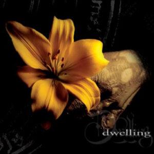 Dwelling - Humana-0
