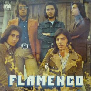 Flamenco (2)-0
