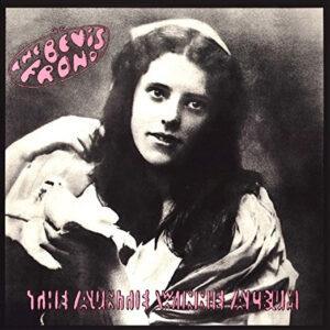 The Bevis Frond - The Auntie Winnie Album-0
