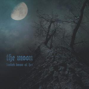 The Troika - The Moon Looked Down At Her-0