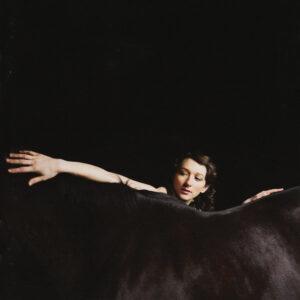 My Brightest Diamond - Bring Me The Workhorse-0