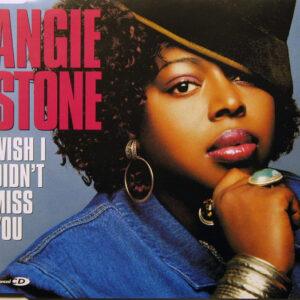 Angie Stone - Wish I Didn't Miss You-0