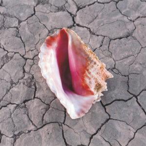 The Killers - Wonderful Wonderful-0