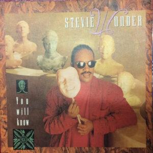 Stevie Wonder - You Will Know-0