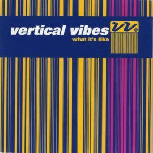 Vertical Vibe - What It's Like-0