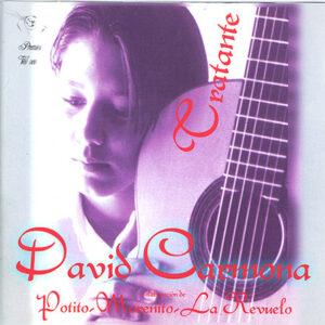 David Carmona (2) - Tratante-0