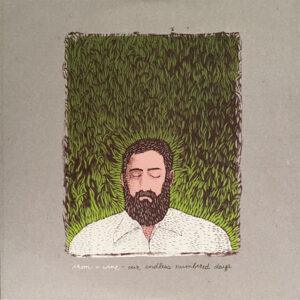 Iron And Wine - Our Endless Numbered Days -0