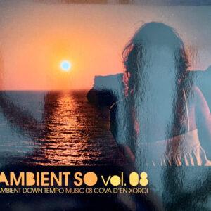 Various - Ambient Down Tempo Music - Ambient So Vol.08-0