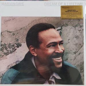 Marvin Gaye - Dream Of A Lifetime-0