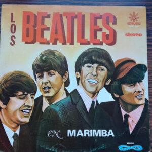 Marimba Orquesta Reina del Soconusco - Los Beatles En Marimba-0