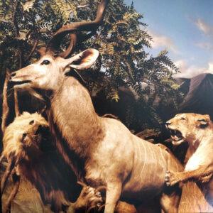 Interpol - Our Love To Admire-0