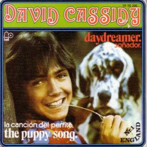 David Cassidy - Daydreamer / The Puppy Song-0