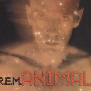 R.E.M. - Animal-0