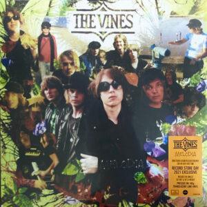 The Vines - Melodia-0
