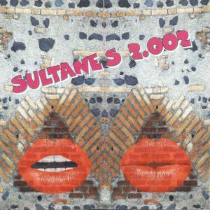 Los Sultanes - Que Calor En La Playa-0