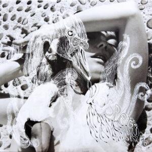 Björk - Vespertine-0