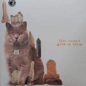 The Brian Jonestown Massacre - Fire Doesn't Grow On Trees-0