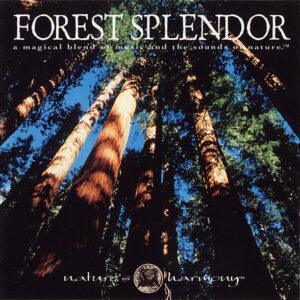Dennis Scott (2) & Christopher Davis (10) - Forest Splendor-0