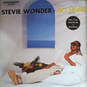 Stevie Wonder - Go Home = Vete A Casa-0