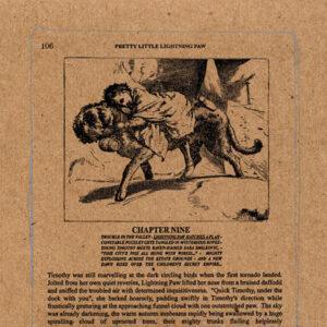 A Silver Mt. Zion - The "Pretty Little Lightning Paw" E.P.-0