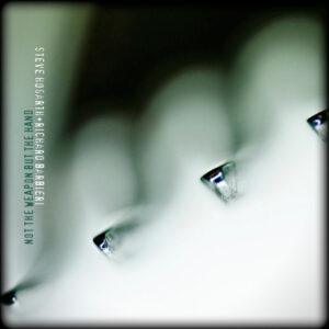 Steve Hogarth + Richard Barbieri - Not The Weapon But The Hand-0