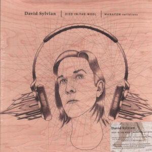 David Sylvian - Died In The Wool | Manafon Variations-0