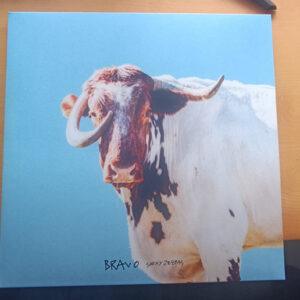 Sexy Zebras - Bravo-0