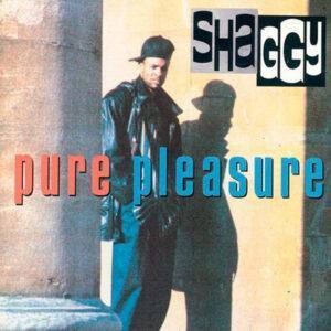 Shaggy - Pure Pleasure-0
